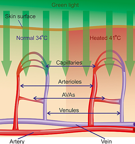 РИС2 ТЕКСТ.jpg