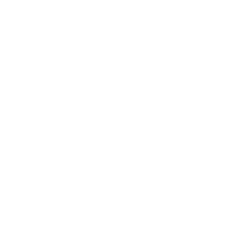 magnifier (1).png