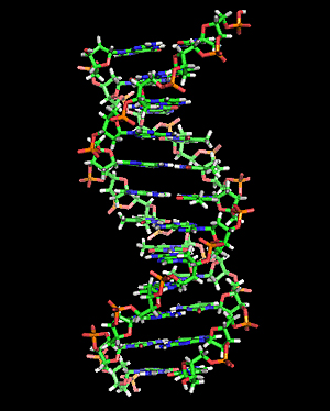 ДВН СПР ДНК.jpg