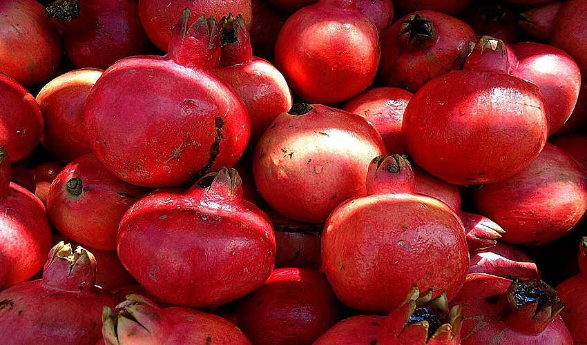 Найти анчар для вируса 