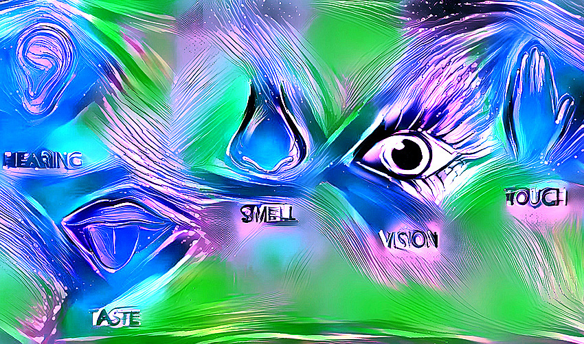 Не хватает еще двух чувств