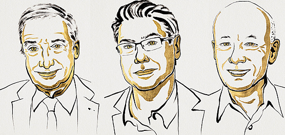 Нобелевка за инновационную теорию роста