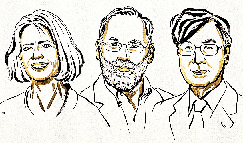 Почему иммунитет не убивает, а делает сильнее