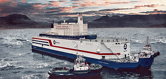 Реактор маленького роста