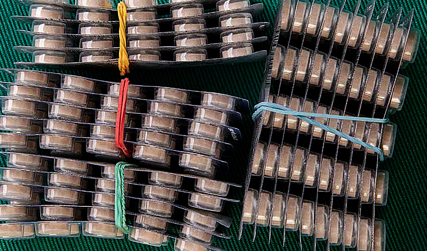 От дженериков к фарминновациям