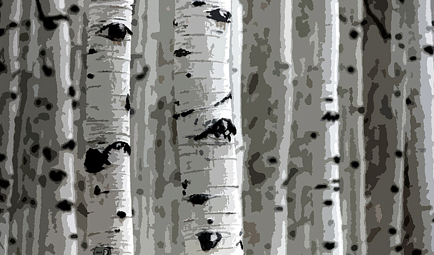 Импортозамещение: новая парадигма — старые вызовы