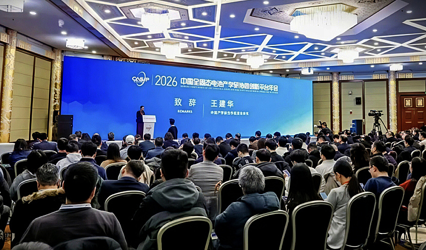 Заезд на твердом теле