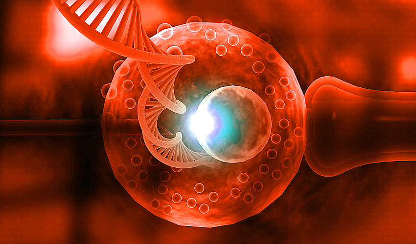 От «снижения IQ» — к соблазну биополитики