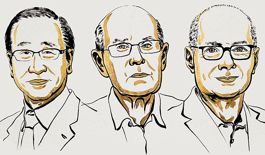 Квартира-студия для молекулы воды