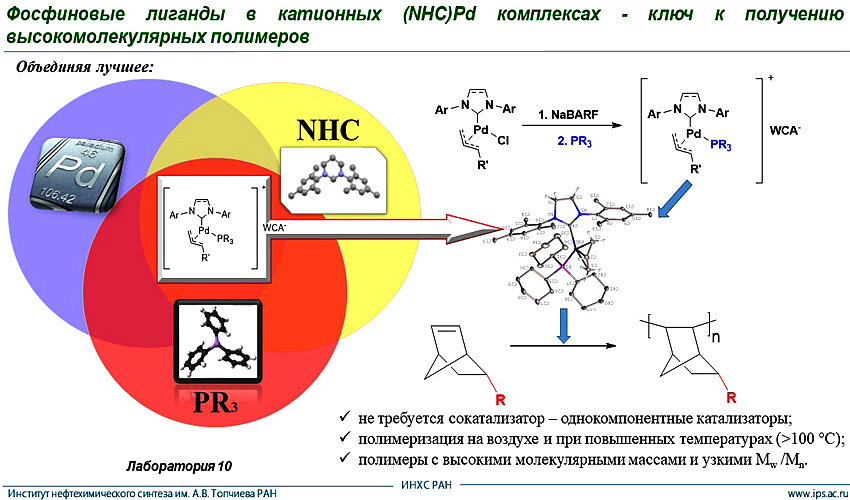 Палладий под «зонтиком»: новые катализаторы для синтеза полимеров